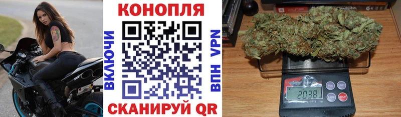где купить наркоту  Никольское  Конопля индика 